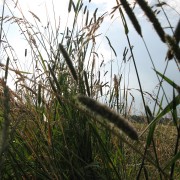 img_0744
