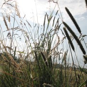 img_0745