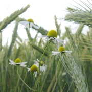 img_0750