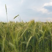 img_0752
