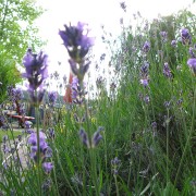 img_0758