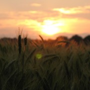 img_0760