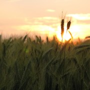 img_0761