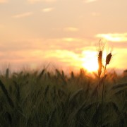 img_0762