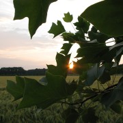 img_0763