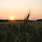 img_0792