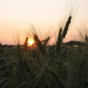 img_0793