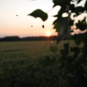 img_0794